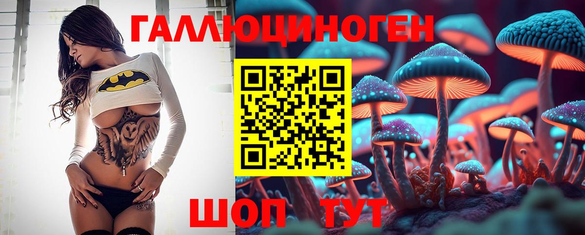 Галлюциногенные грибы Psilocybe Губаха
