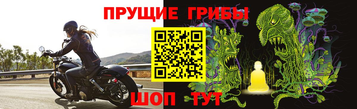 Псилоцибиновые грибы Psilocybine cubensis  Вход с VPN  Губаха 